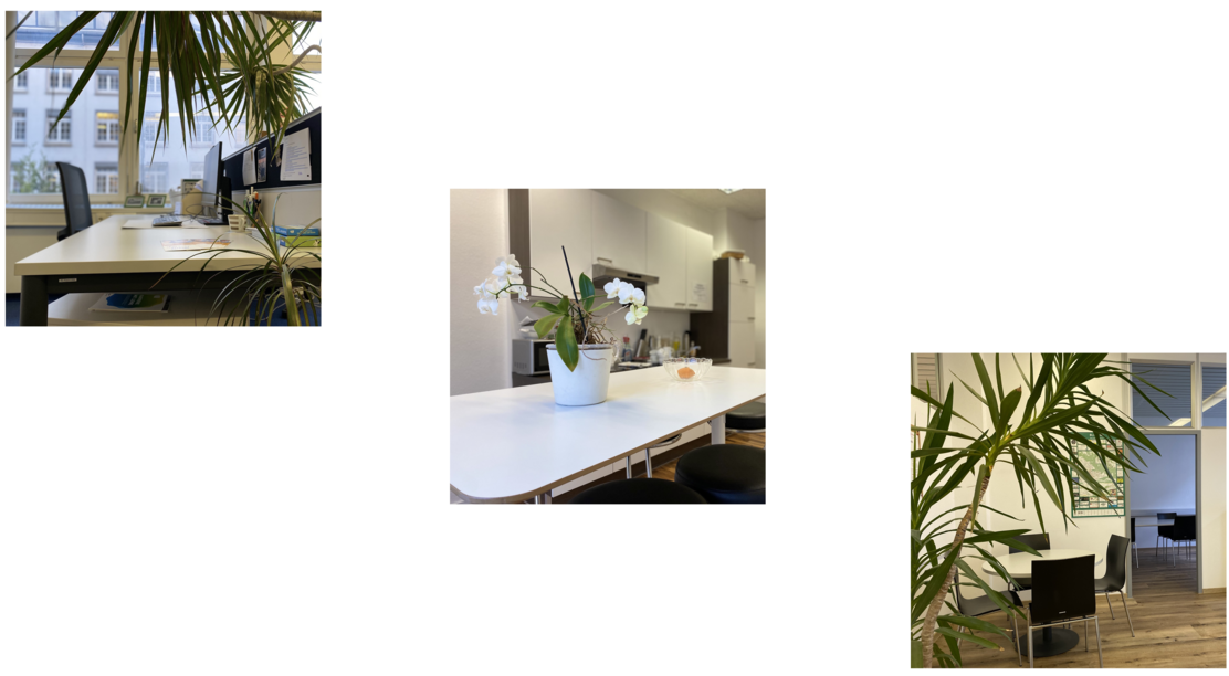 Testbild Bludenz 1.png