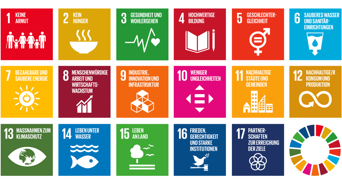 17 SDGs Format für HP.png